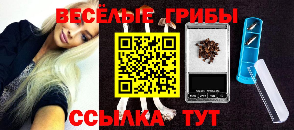 Псилоцибиновые грибы GOLDEN TEACHER Муром