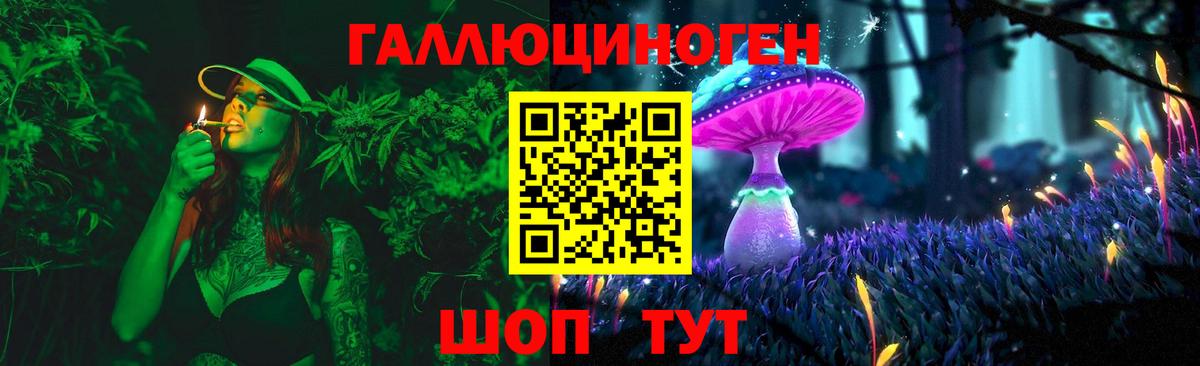 Галлюциногенные грибы GOLDEN TEACHER  Псилоцибиновые грибы Magic Shrooms  Муром  Вход с VPN 
